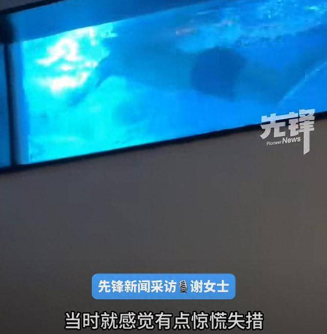 女子住店拉開窗簾竟是泳池水底，原來泳池下還能有房間！