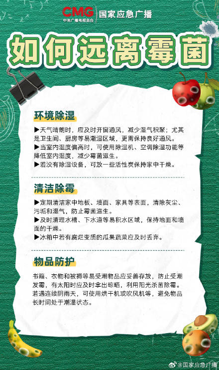 春節大掃除 防黴指南快收藏