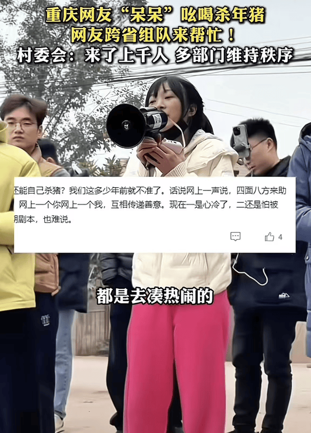 原創呆呆闢謠沒入編，年齡35還未婚，殺豬宴後搬家，拒打賞被稱虧大了