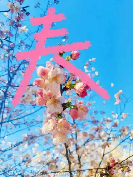 用八筆漢字收藏北京春日