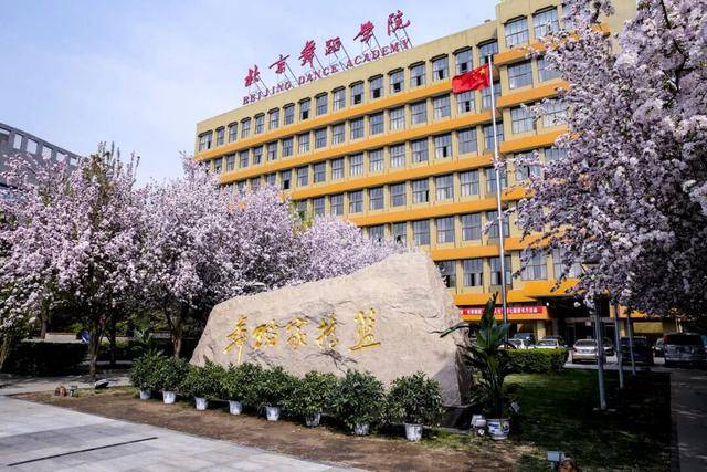 招賢納士！北京舞蹈學院2026年公開招聘公告